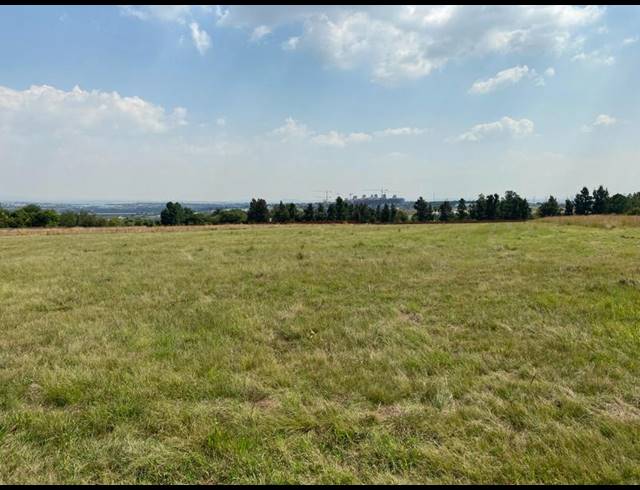 FARM FOR SALE IN TREESBANK